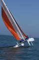 Sun40D_IMG_5746.CR2