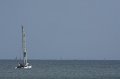 Sat20D_IMG_5141.CR2