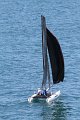 Wed7D_IMG_8623.CR2