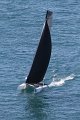 Wed7D_IMG_8703.CR2