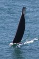 Wed7D_IMG_8704.CR2