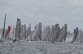 IMG_7229.CR2