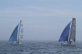 IMG_7484.CR2