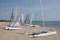 IMG_5941