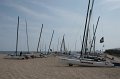 IMG_5981
