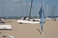 IMG_6186