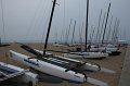 IMG_6304