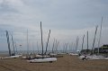 IMG_6336