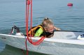 IMG_7690