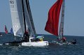 IMG_7479.CR2