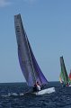 IMG_9530.CR2
