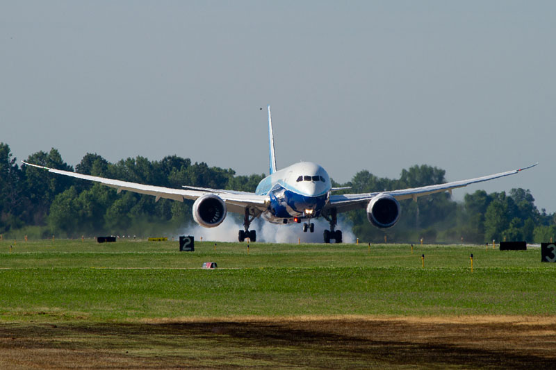 IMG_5288_crop_800w.jpg