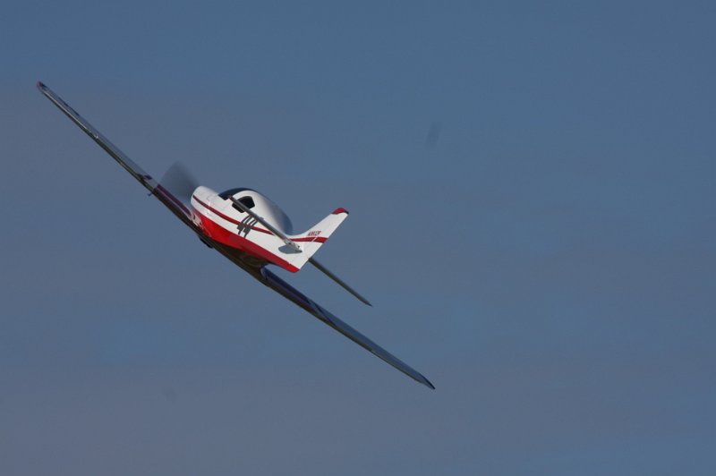 IMG_8005.CR2.jpg