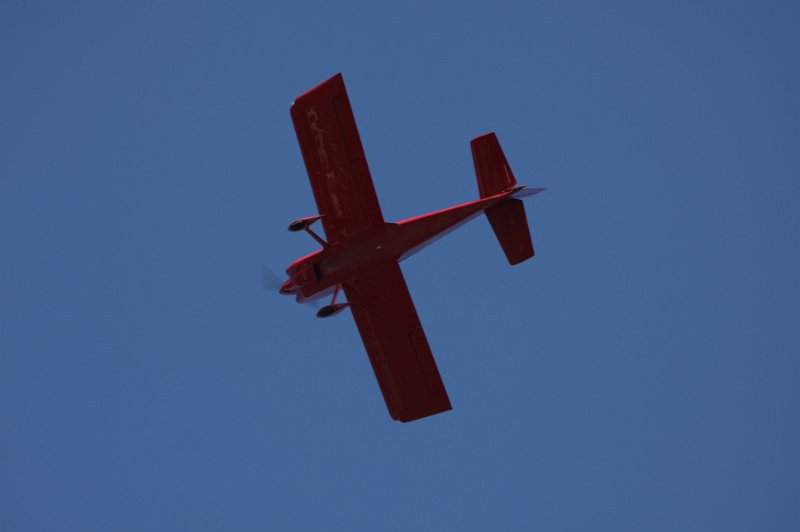 IMG_8115.CR2.jpg