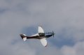 IMG_9557.CR2