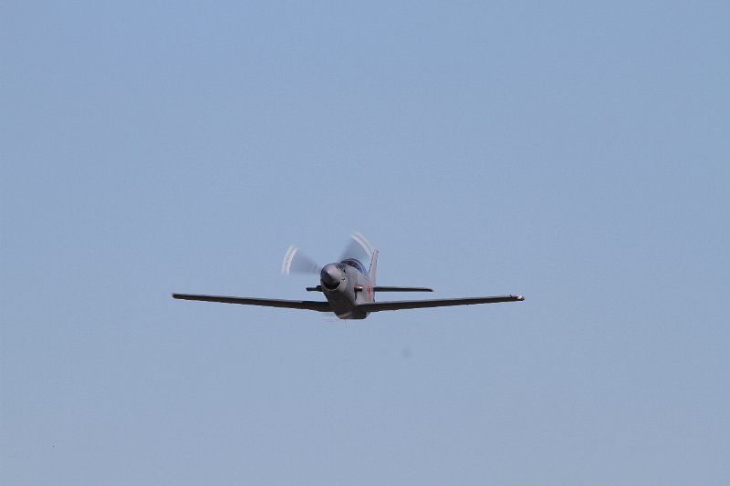 IMG_2223.CR2.jpg
