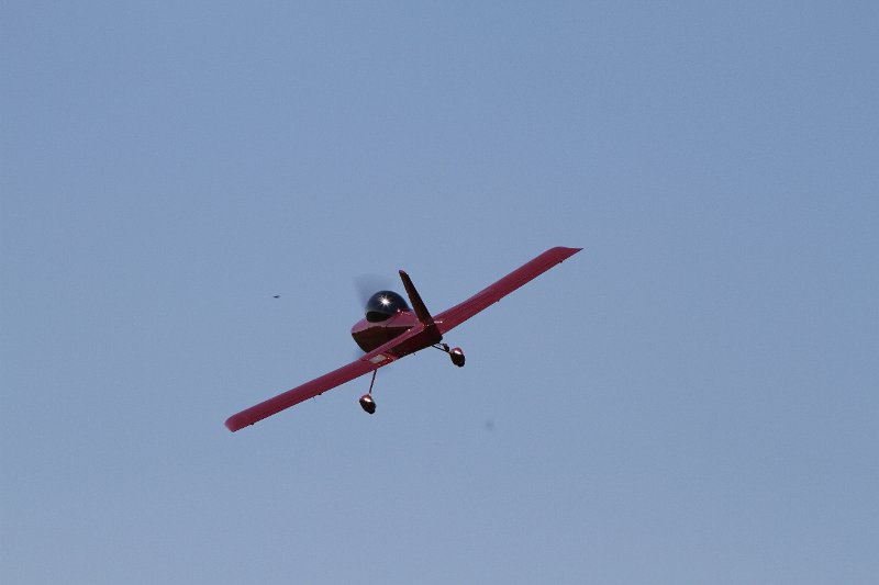 IMG_2663.CR2.jpg