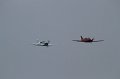 IMG_0875.CR2