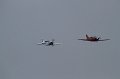 IMG_0876.CR2