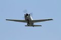 IMG_1590.CR2