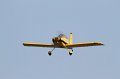 IMG_1645.CR2