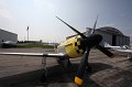 IMG_5979.CR2